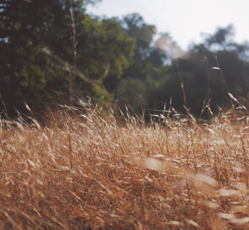 国际足球赛场各队实力对比悬殊：从巨头到黑马的距离